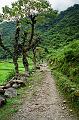 Annapurna Circuit 4